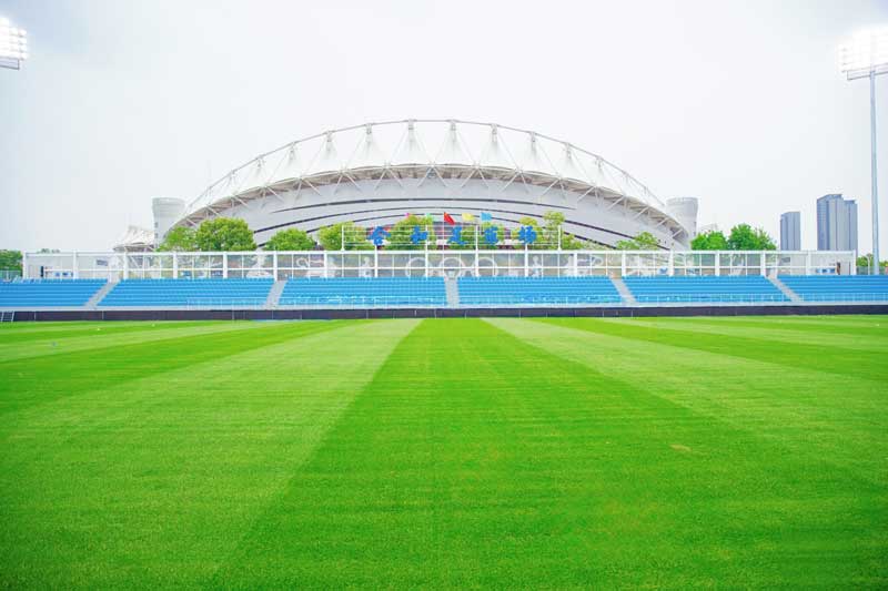 2026CBA选秀王一为